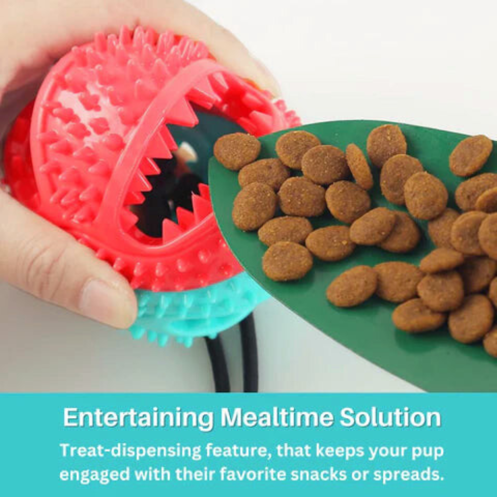 SuctionCup | Dog Toy