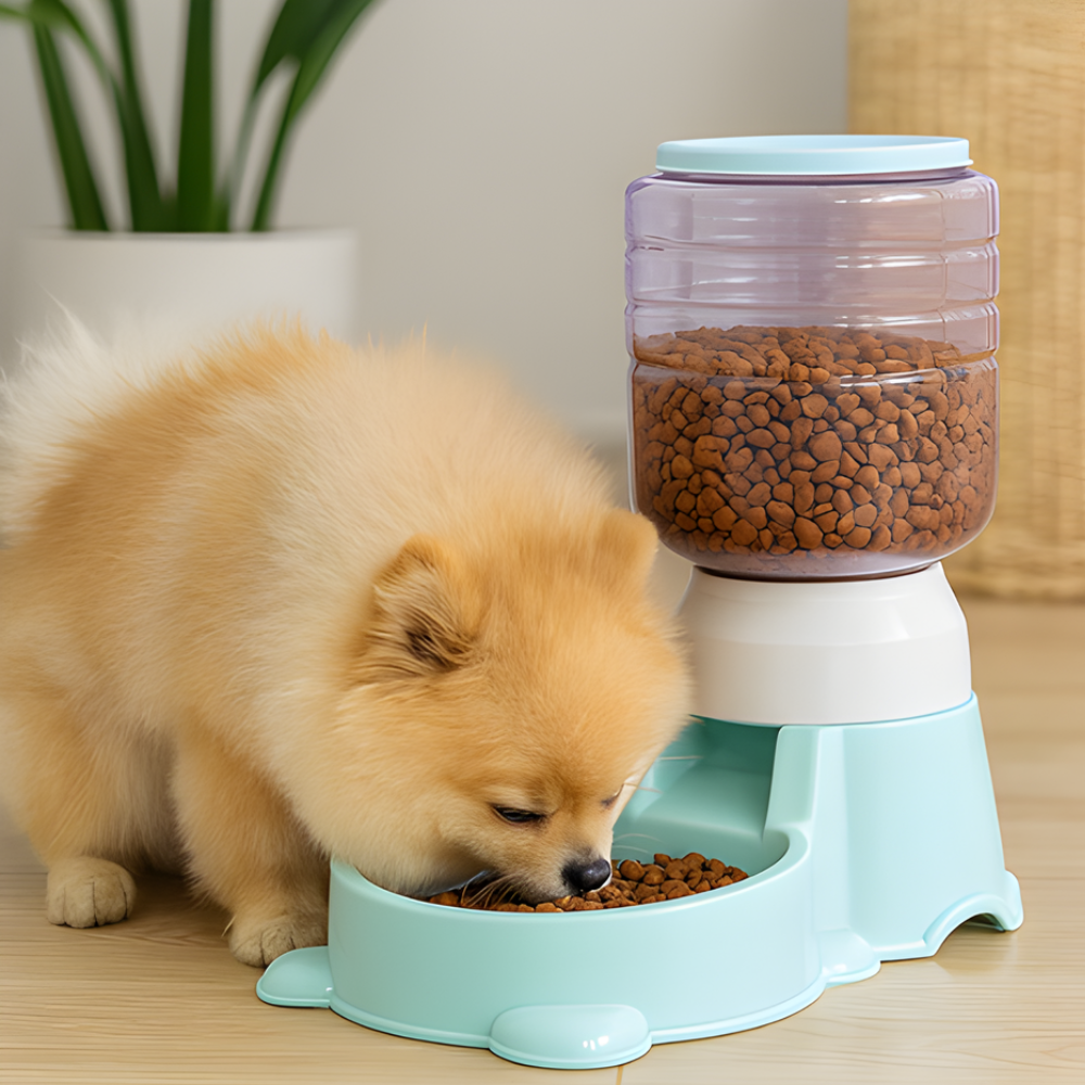 AutoPour │ Gravity Fed Automatic Pet Food Dispenser