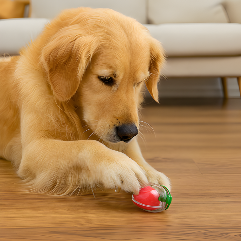 BerryPop │ Fruit Shaped Squeaky Rubber Dog Toy