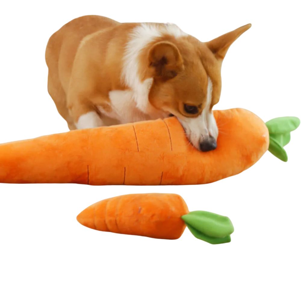 CarroPlay | Plush Dog Toy