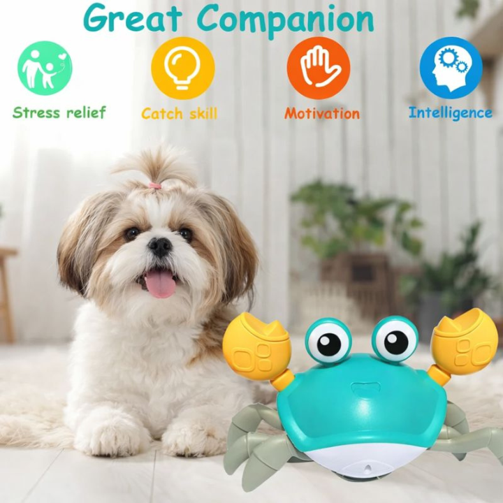 CrabMotion │ Interactive Crawling Dog Toy