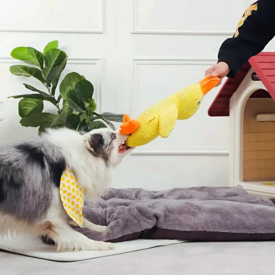 DuckBuddy | Calming Durable Duck