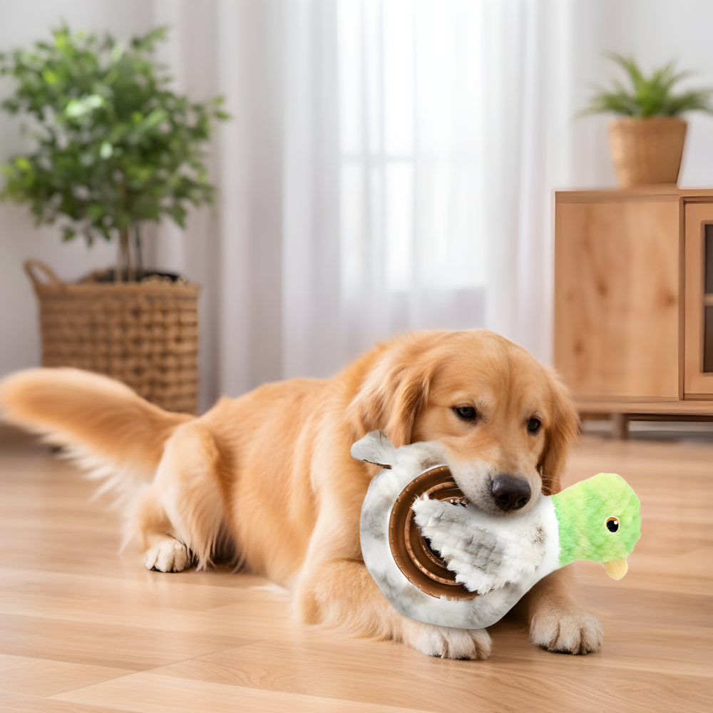 PawLoop │ Interactive Treat Dispensing Chew Ring Toy
