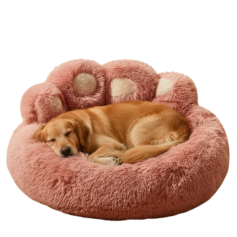 PawNest | Comfort Paw Bed