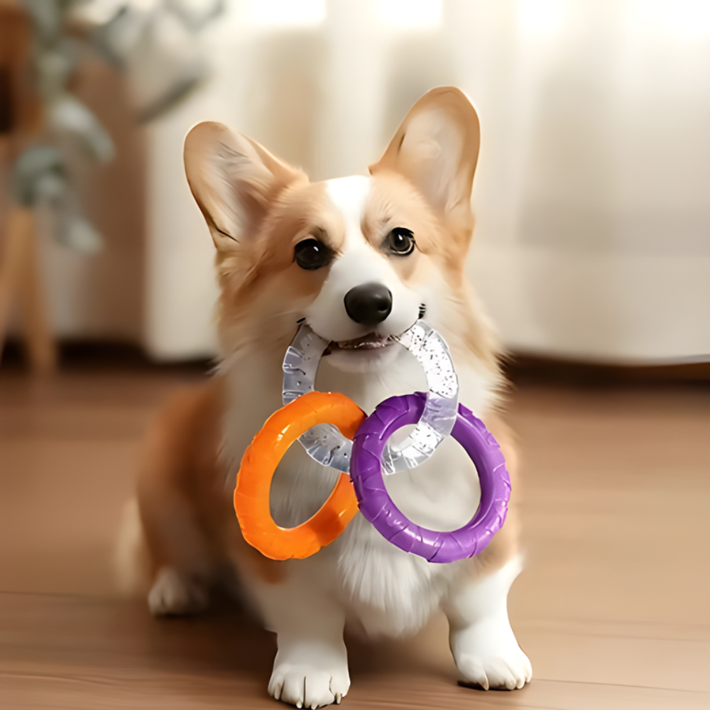 PawRing │ Colorful Puppy Teething Chew Rings