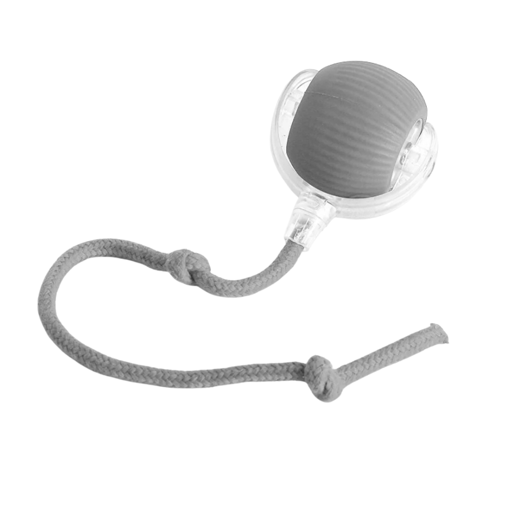 PawTail Interactive Dog Play Ball