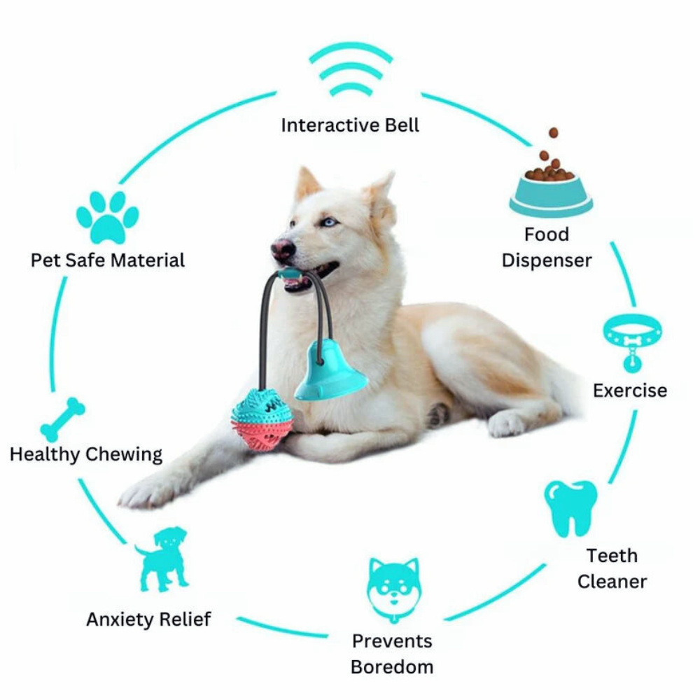 SuctionCup | Dog Toy