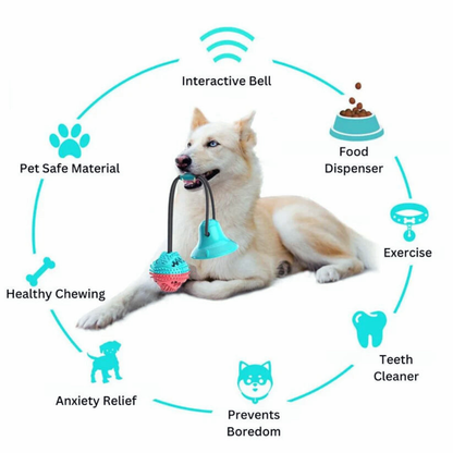 SuctionCup | Dog Toy