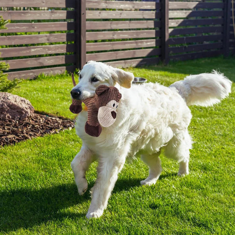 FluffyZoo | Plush Dog Toy