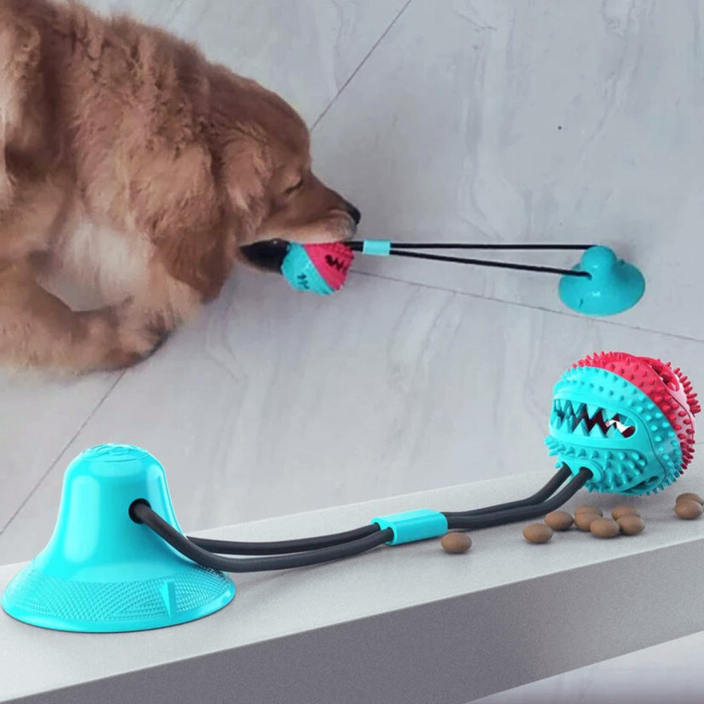 SuctionCup | Dog Toy