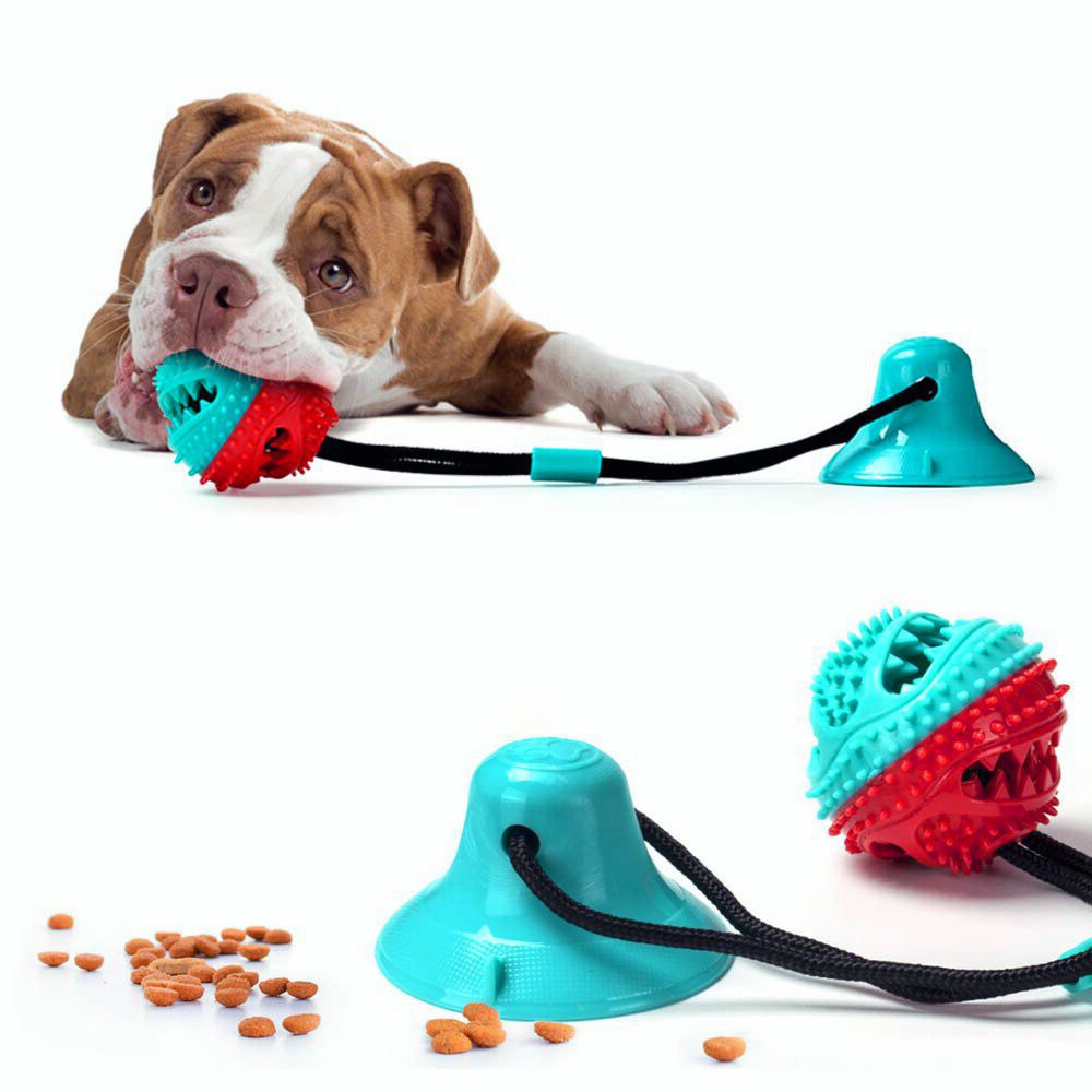 SuctionCup | Dog Toy