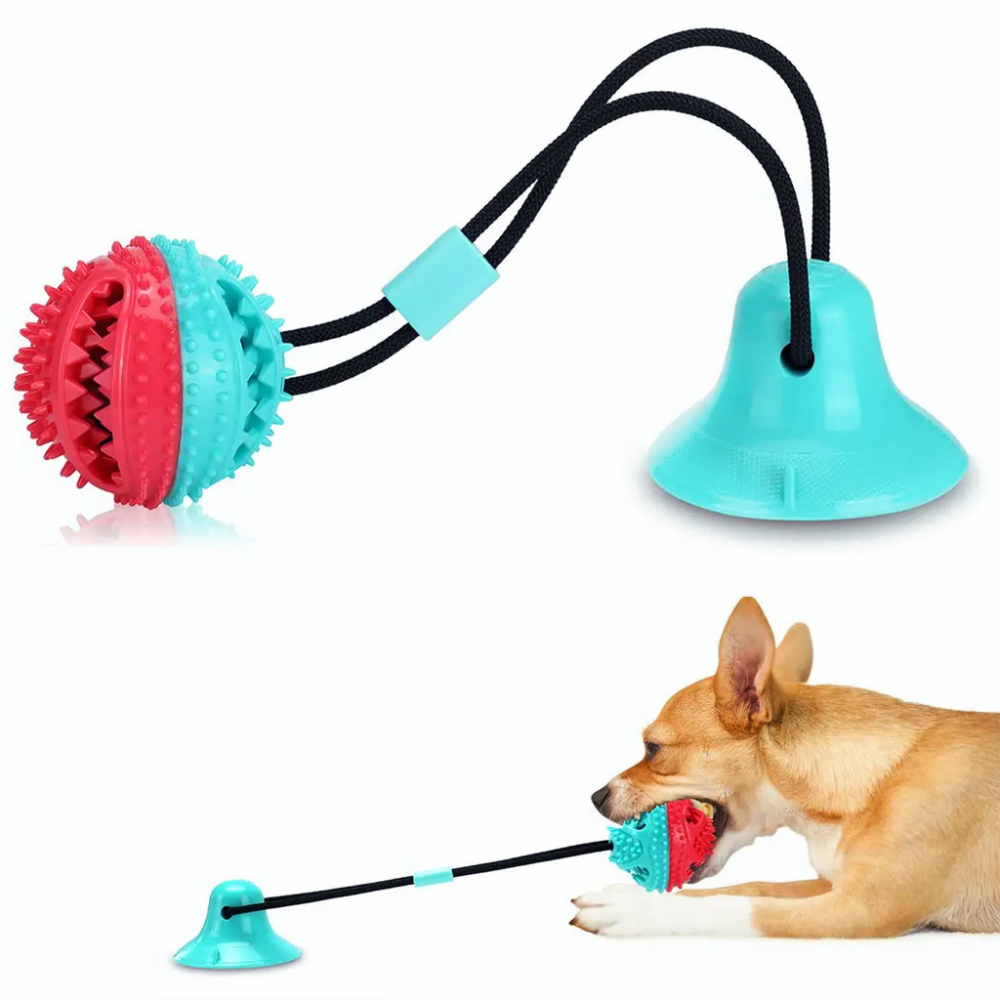 SuctionCup | Dog Toy