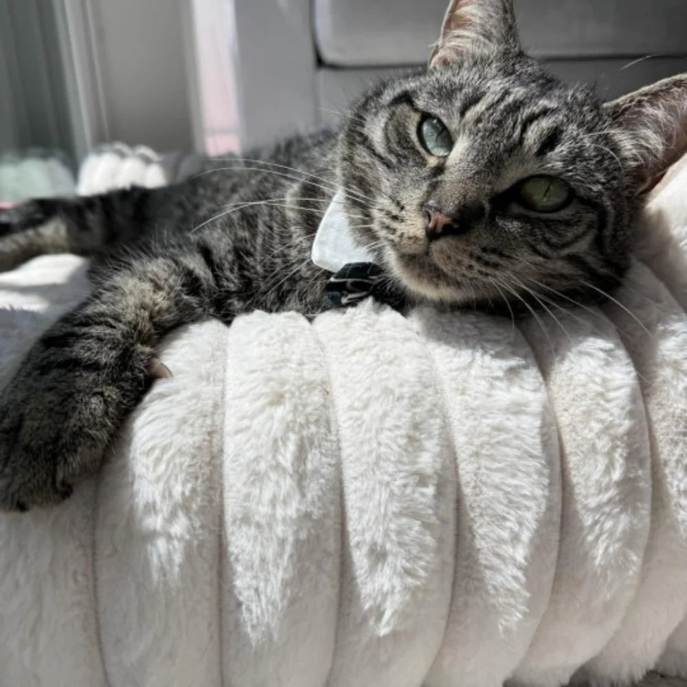 LuxePlush | Cat Sofa Bed