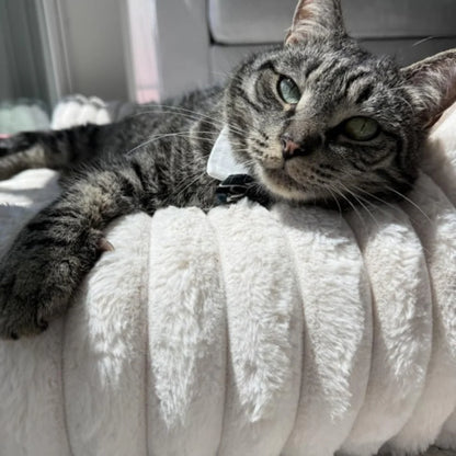 LuxePlush | Cat Sofa Bed