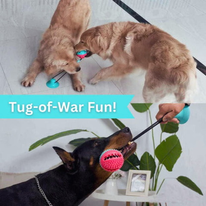 SuctionCup | Dog Toy