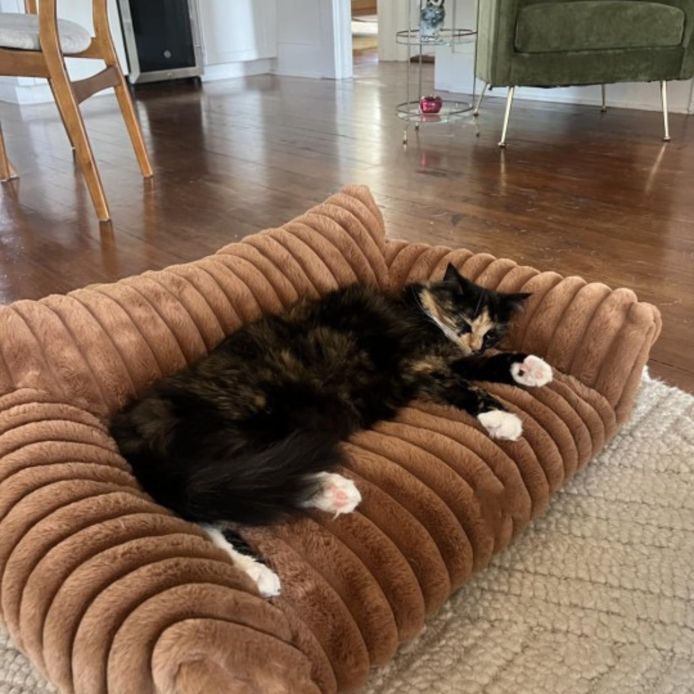 LuxePlush | Cat Sofa Bed