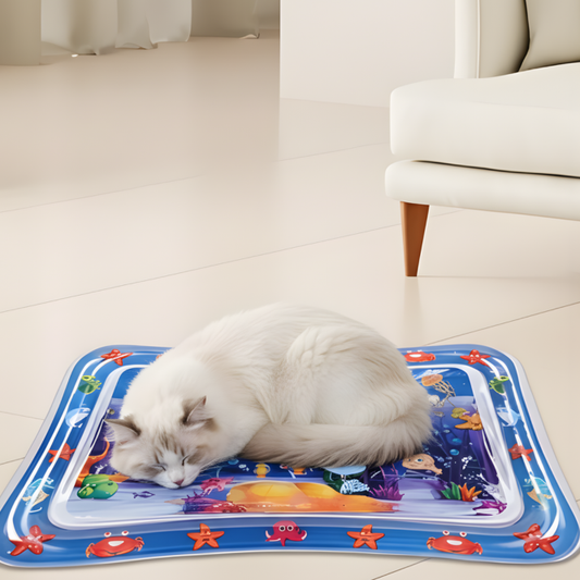 AquaPlay │ Interactive Water Activity Pet Play Pad