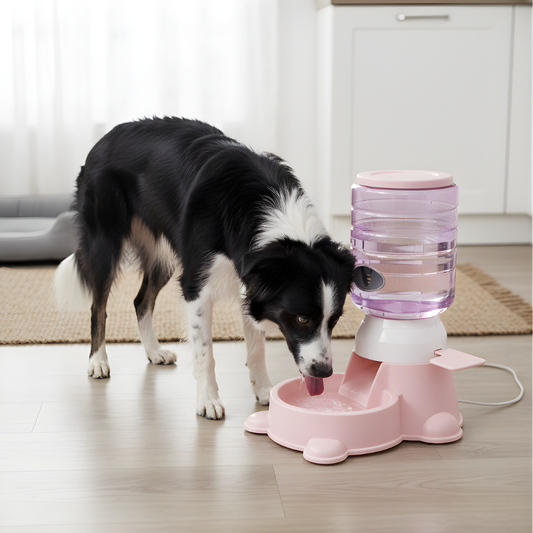 AutoPour │ Gravity Fed Automatic Pet Food Dispenser