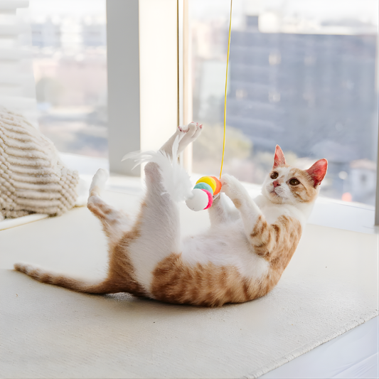 BounceCharm │ Hanging Cat Bungee Toy Set