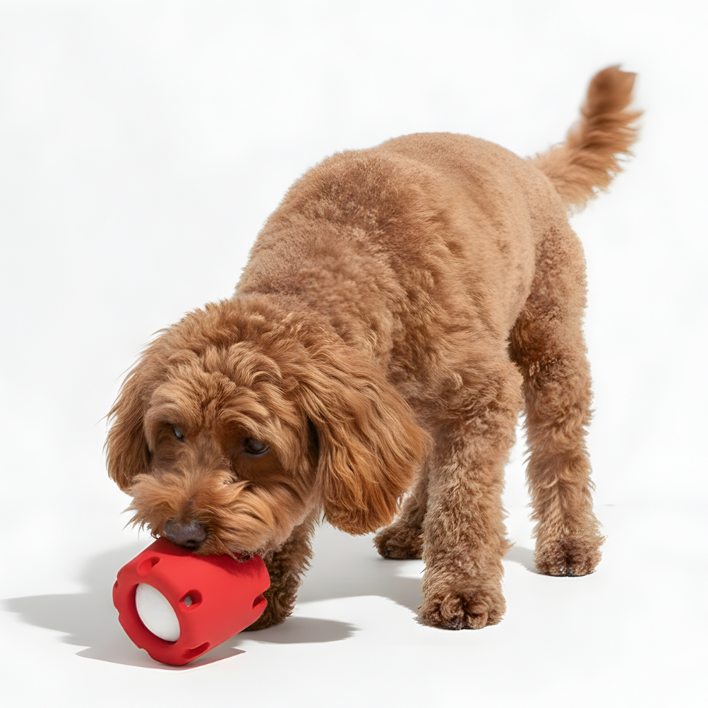 BounceVault │ Barrel and Ball Dog Play Toy Set