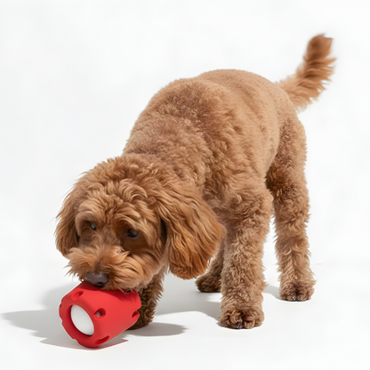 BounceVault │ Barrel and Ball Dog Play Toy Set