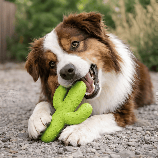 CactiChew │ Interactive Rubber Dental Chew Stick