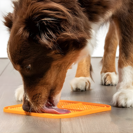 CalmPad │ Silicone Lick Feeding Mat (2 Pack Set)