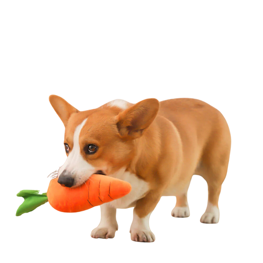 CarroPlay | Plush Dog Toy