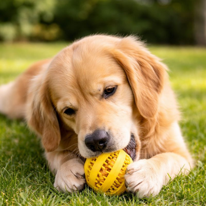 TreatForge │ Treat Dispensing Chew Ball