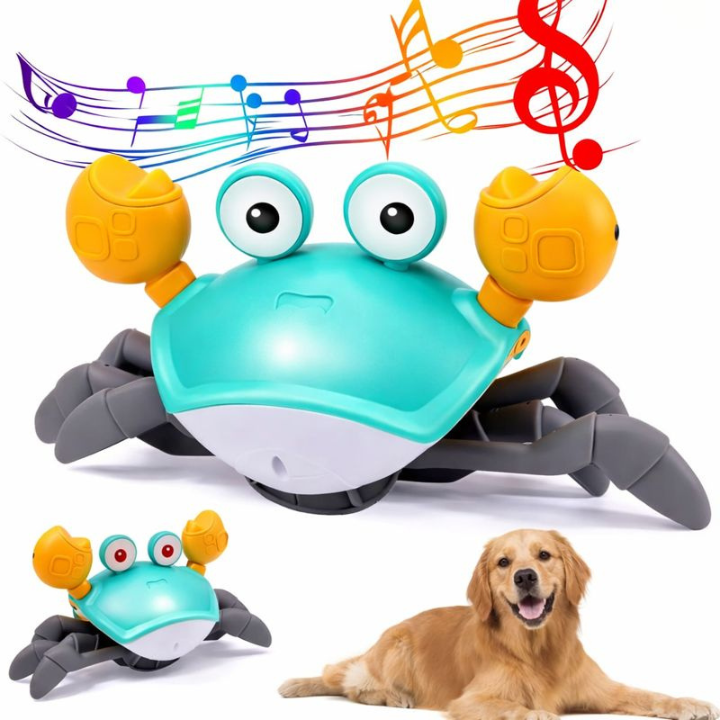 CrabMotion │ Interactive Crawling Dog Toy