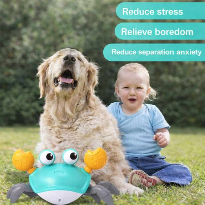 CrabMotion │ Interactive Crawling Dog Toy