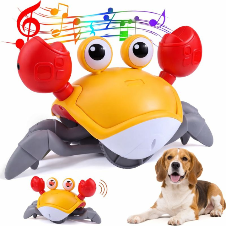 CrabMotion │ Interactive Crawling Dog Toy