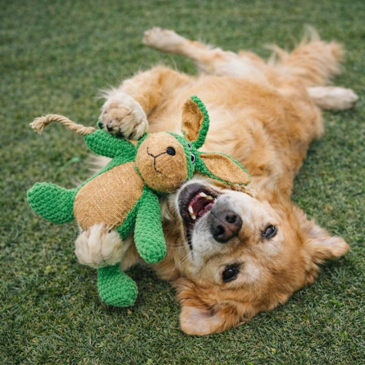 PlushSentinel │ Indestructible Chew Dog Toy