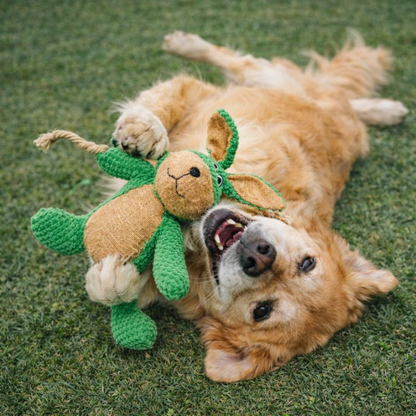 PlushSentinel │ Indestructible Chew Dog Toy