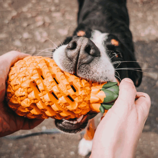 ChewCore │ Pineapple Treat Dispensing Dog Chew Toy