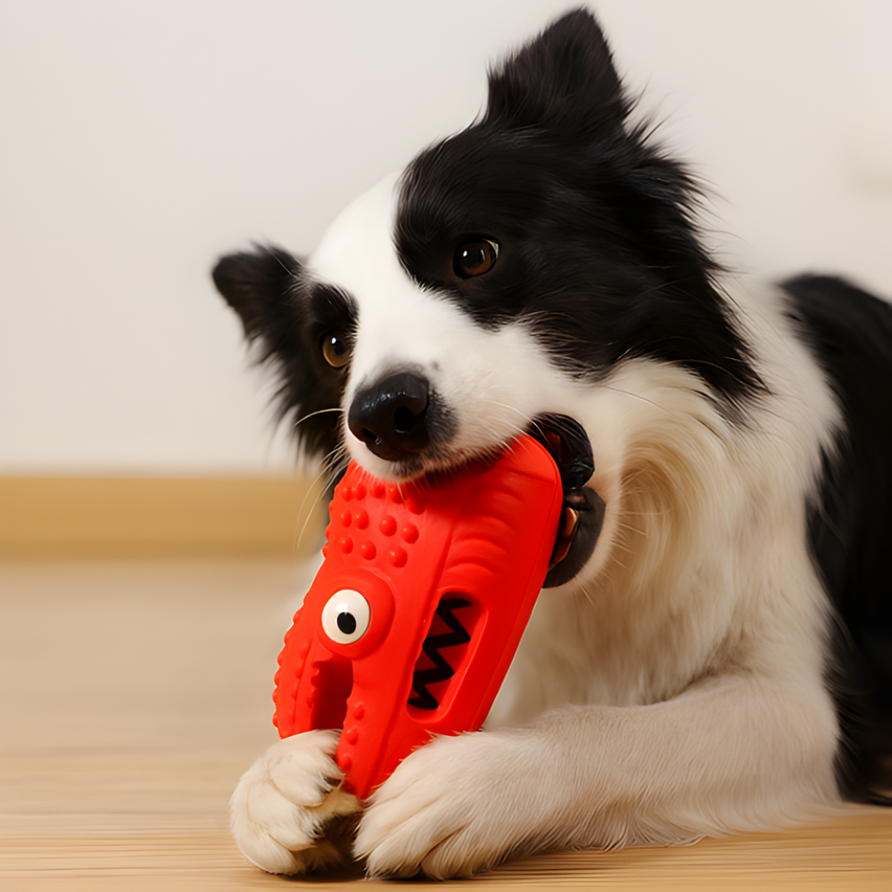 ChompGator │ Slow Feeder Squeaky Dental Chew Toy for Dogs