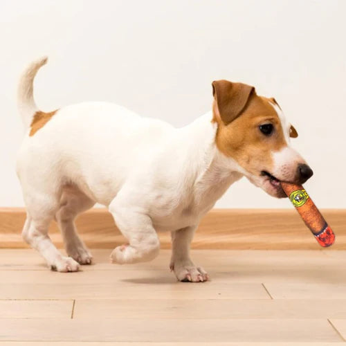 CigarPlay | Plush Squeaky Dog Toy