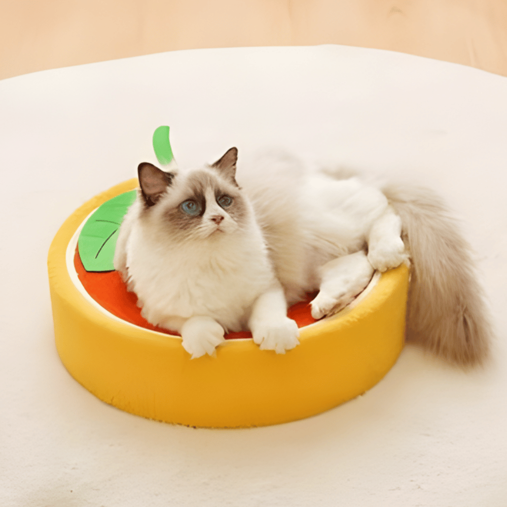 CitrusClaw │ Orange Shaped Cat Scratching Cushio