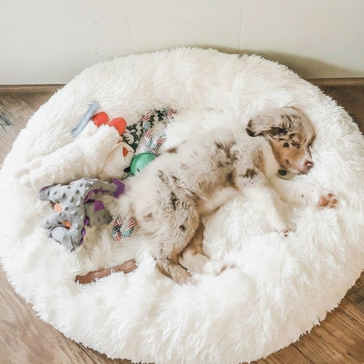 CloudNest │ Plush Donut Dog Bed