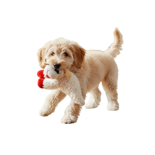 CuddleLamb | Plush Dog Toy