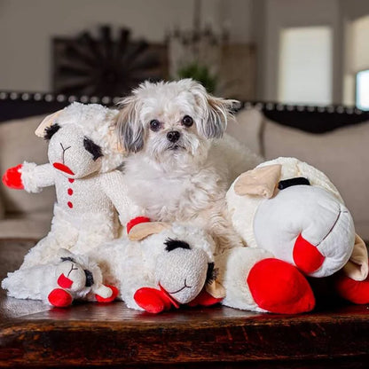 CuddleLamb | Plush Dog Toy
