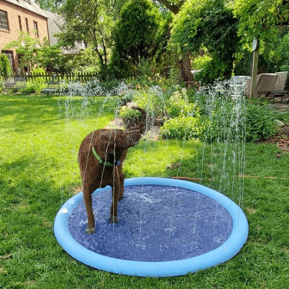 DogSplash │ Anti Slip Sprinkler Pool for Pets