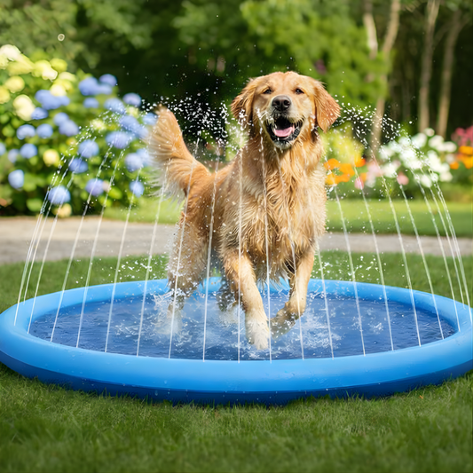 DogSplash │ Anti Slip Sprinkler Pool for Pets