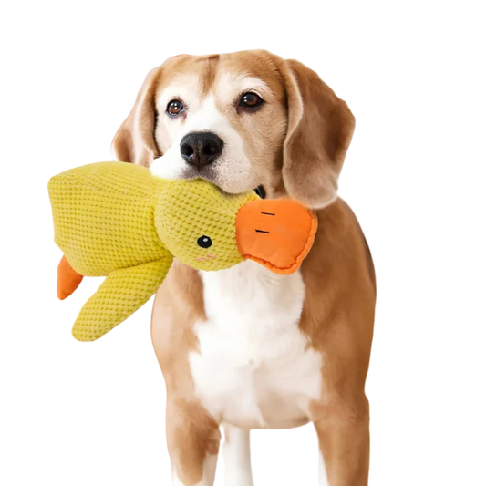 DuckBuddy | Plush Squeaky Dog Toy