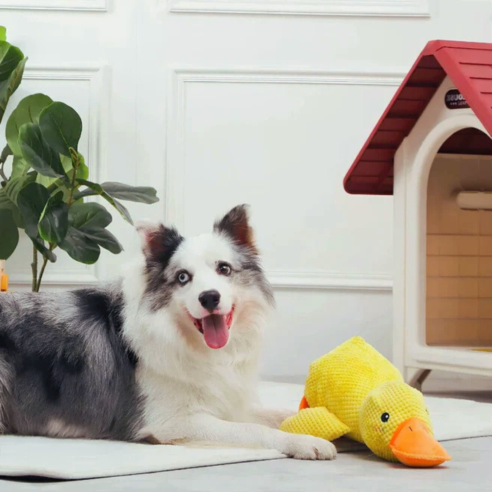 DuckBuddy | Calming Durable Duck