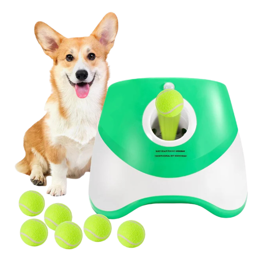 FetchPro | Automatic Dog Ball Launcher