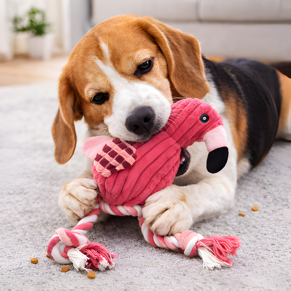 FlamiTug │ Plush Flamingo Squeaky Tug Dog Toy