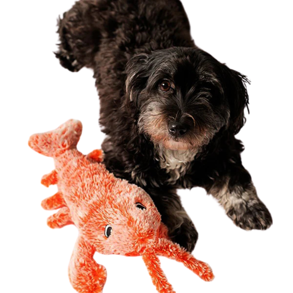 FloppyMotion | Lobster Toy Wiggle Plush Dog Toy