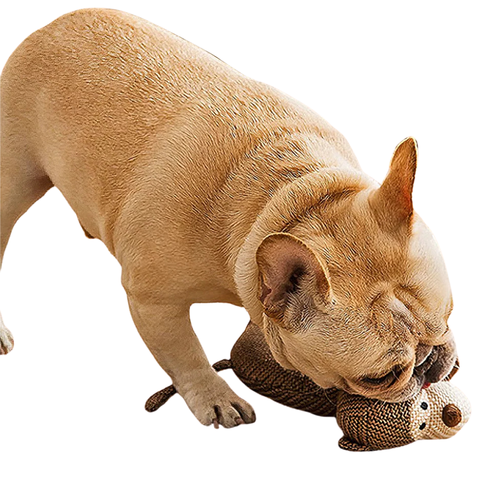 FluffyZoo Plush Dog Toy | Homipets