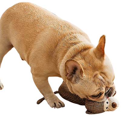 FluffyZoo Plush Dog Toy | Homipets